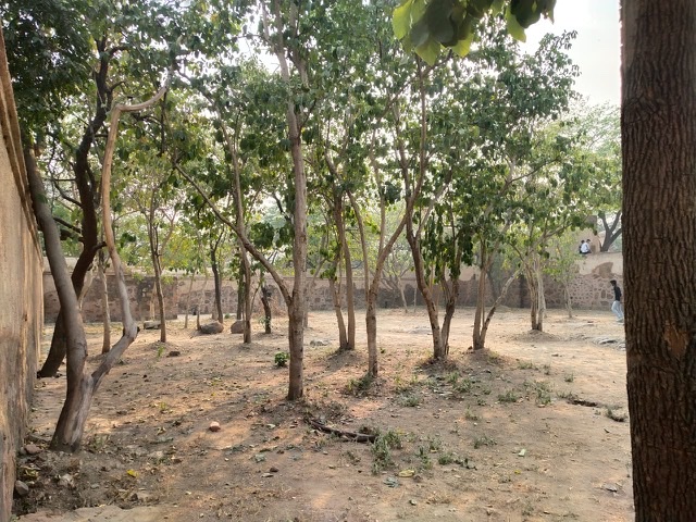 48284AD8-089D-440E-B6ED-15B4CE4947FA