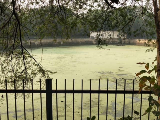 9B0E5860-04D4-475D-9389-CCA78E244F6F