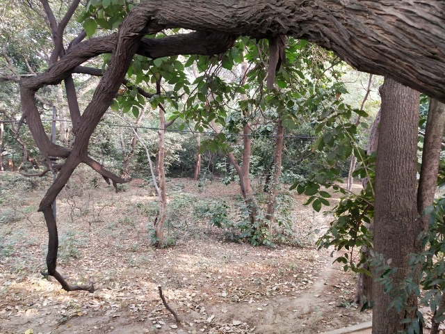 9B469169-4B7F-4146-A619-57FBC4465C59