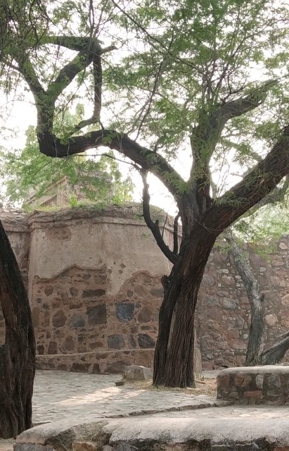 BD1047AD-C52D-491F-9B4B-54E143BA87C1